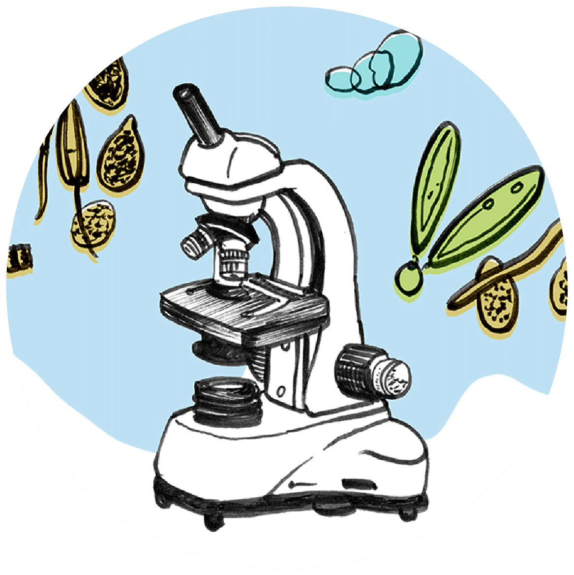 Microkosmos